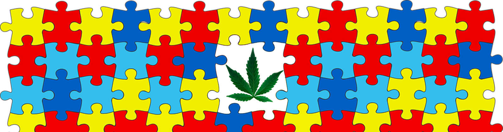 Cannabis for autism harm reduction.