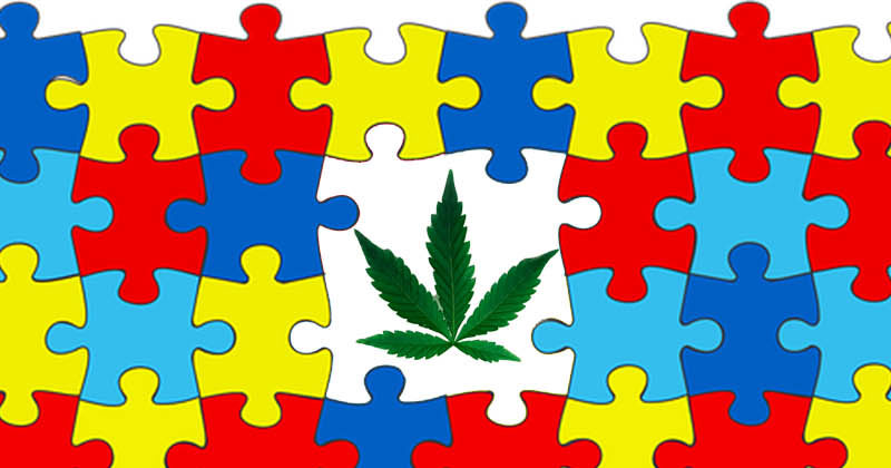 Cannabis for autism harm reduction.