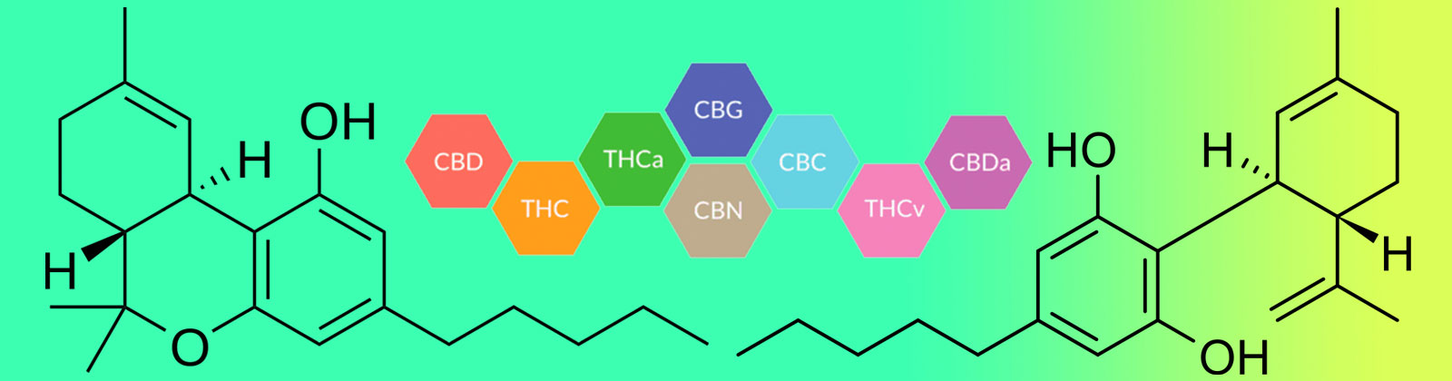 Cannabinoids—An Overview - Cannakeys