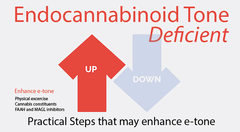 Endocannabinoid tone deficient and practical ways to enhance e-tone.