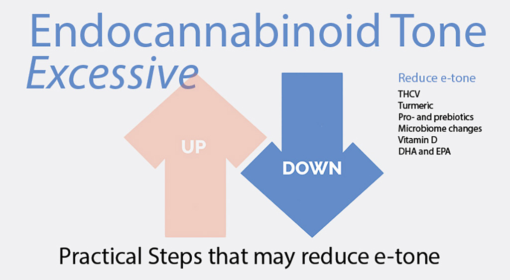 Endocannabinoid tone excessive and practical ways to reduce e-tone.
