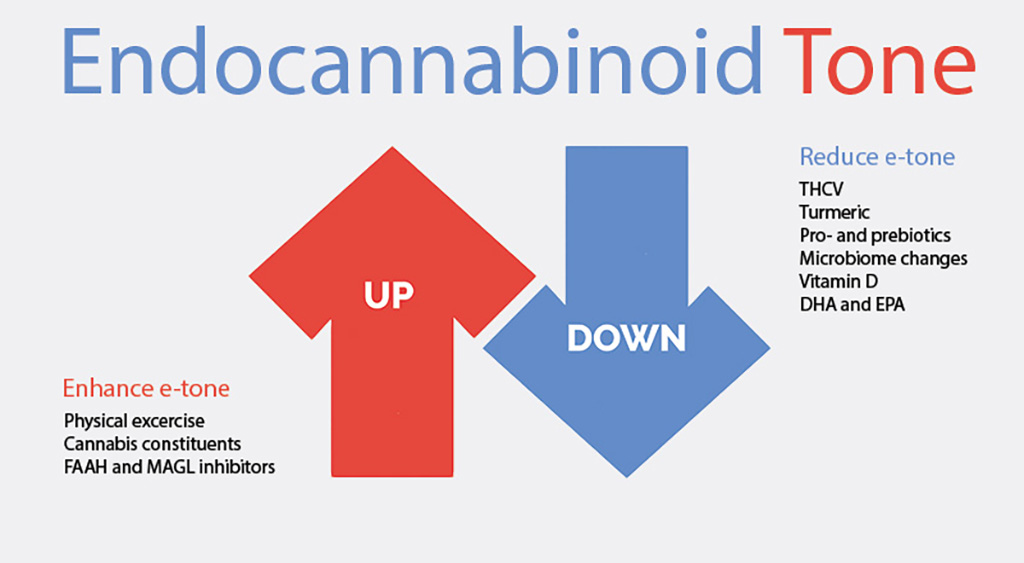 Endocannabinoid Tone and the how to enhance or reduce tone.