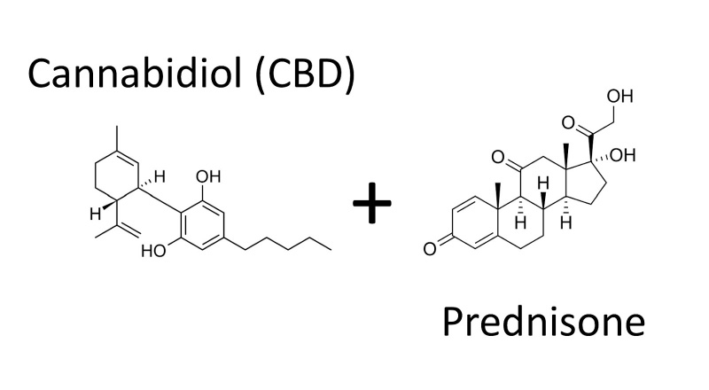 CBD and Prednisone molecules and the interactions between CBD and Steroids