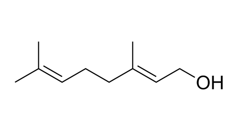 Geraniol is a cannabis-based terpene.  This is the molecular structure of Geraniol.