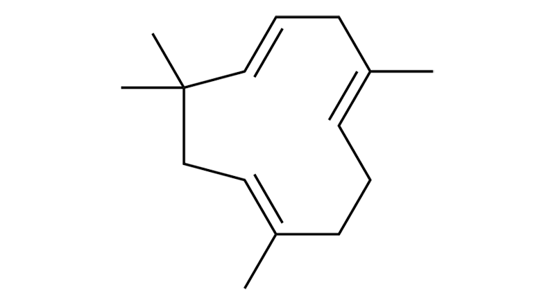 Humulene is a cannabis-based terpene.  This is the molecular structure of Humulene.
