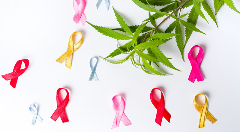 Cannabis and cancer awareness ribbons.