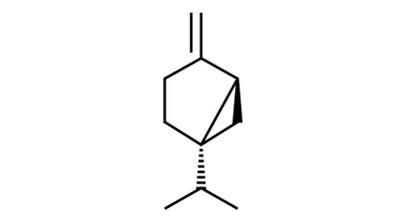 Sabinene is a bicyclic monoterpene.