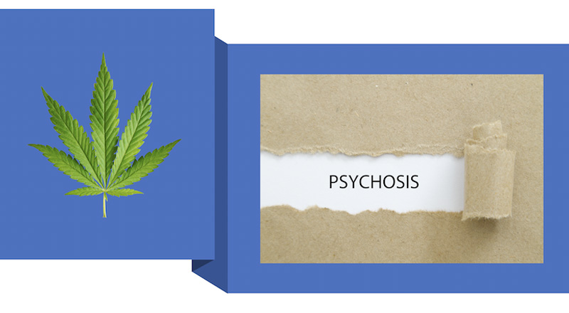 Cannabis and Psychosis: Is there a connection in high risk populations?