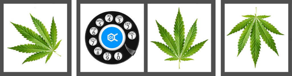 Finding the ideal ratio of cannabis by dialing in cannabis constituents.