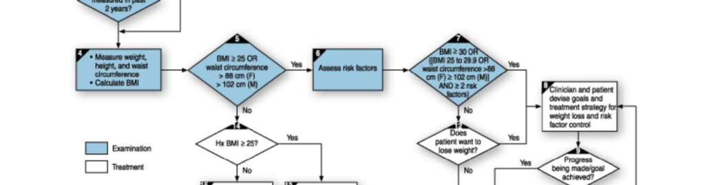 Treatment algorithm used to assess obesity.