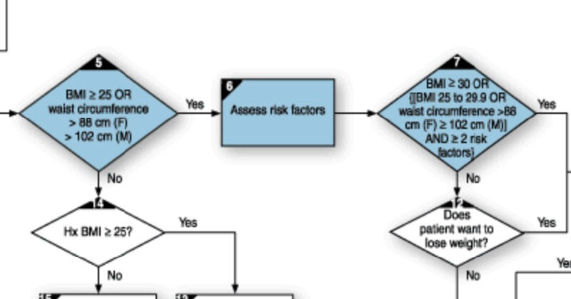 Treatment algorithm used to assess obesity.
