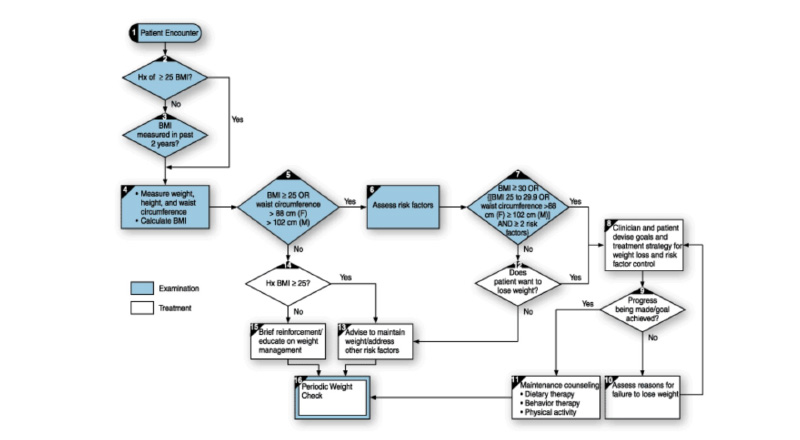 Assessment and treatment algorithm for obesity