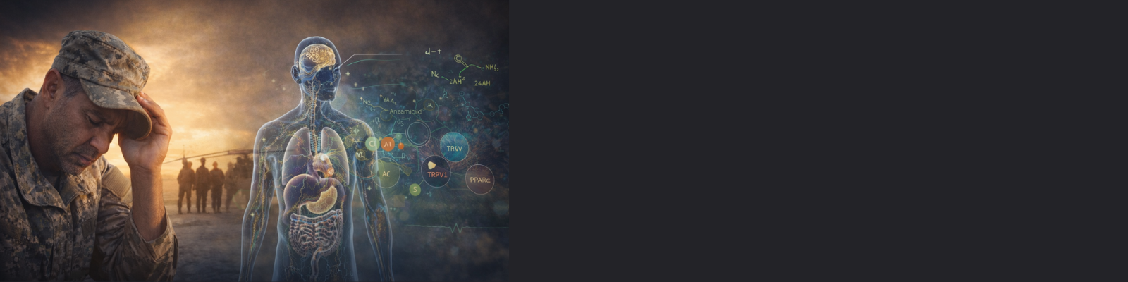 Gulf war illness and the endocannabinoid system (ECS).